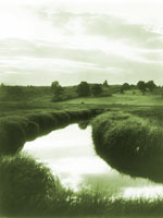 Spurwink Marsh, Maine, Library of Congress