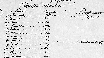 Document. Slave Inventory Sheets: Ship from Goree