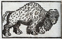 Buffalo, Archive of Early American Images