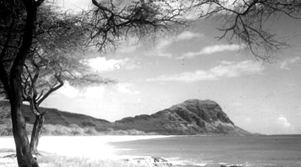 American Environmental Photographs, 1891-1936