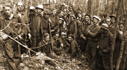 Roosevelt's Tree Army