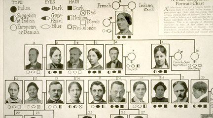 Eugenics Archive
