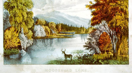 Evolution of the Conservation Movement, 1850-1920