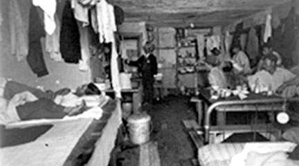 Freedom: A History of Us