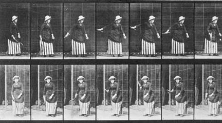 Freeze Frame: Eadweard Muybridge's Photography of Motion