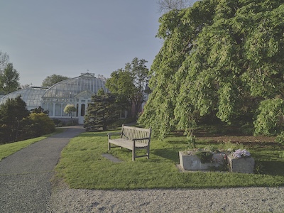 Mixed terrain of grass, paved road, and gravel road. A small lawn contains a bench, a tree, and a few stones. In the distance is a greenhouse with a glass, domed ceiling.
