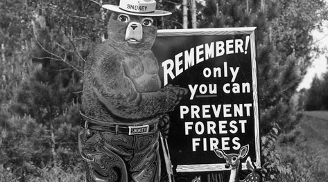 Joe Jelen's Ads as Primary Sources: The Ad Council's Historic Campaigns