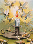 Lithograph, "The silver candle and the moths," 1896, Grant E. Hamilton, Library of Congress Lithograph, "The silver candle and the moths," 1896, Grant E. Hamilton, LoC