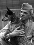 Photo, American soldier with cattle dog, Queensland, 1941-1945, State Library of Queensland, Australia, Flickr Commons Photo, American soldier with cattle dog. . . , 1941-1945, Flickr Commons