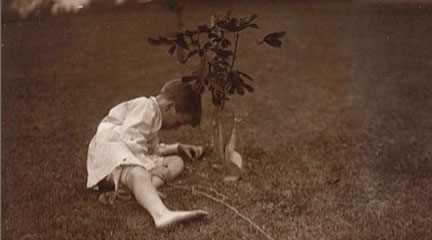 photographic print, Quentin Roosevelt Planting a Tree, c1904, Edward S. Curtis, LOC photographic print, Quentin Roosevelt Planting a Tree, c1904, Edward S. Curtis,