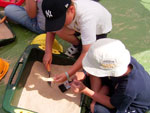 Photo, National Archaeology Day 3, Aug. 8, 2005, Wessex Archaeology, Flickr Photo, National Archaeology Day 3, Aug. 8, 2005, Wessex Archaeology, Flickr
