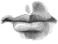 mouth mouth