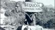 Photograph, Sequoia National Park, 1936, National Park Service. Photograph, Sequoia National Park, 1936, National Park Service.