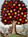 Lithograph, The Tree of Temperance, 1872, Currier & Ives, LOC Lithograph, The Tree of Temperance, 1872, Currier & Ives, LOC