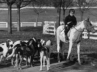 Photo, "The Old Dominion's youngest M.F.H. is four year old Ulmo Randle, who hunts his own pack of drag hounds on his father's farm near Vienna," c. 1939 Photo, "The Old Dominion's youngest M.F.H. " c. 1939