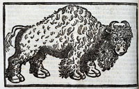 Buffalo, Archive of Early American Images Buffalo, Archive of Early American Images